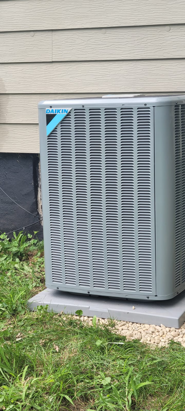 Imagen de WhatsApp 2024-11-19 a las 14.51.49_f25b31e7