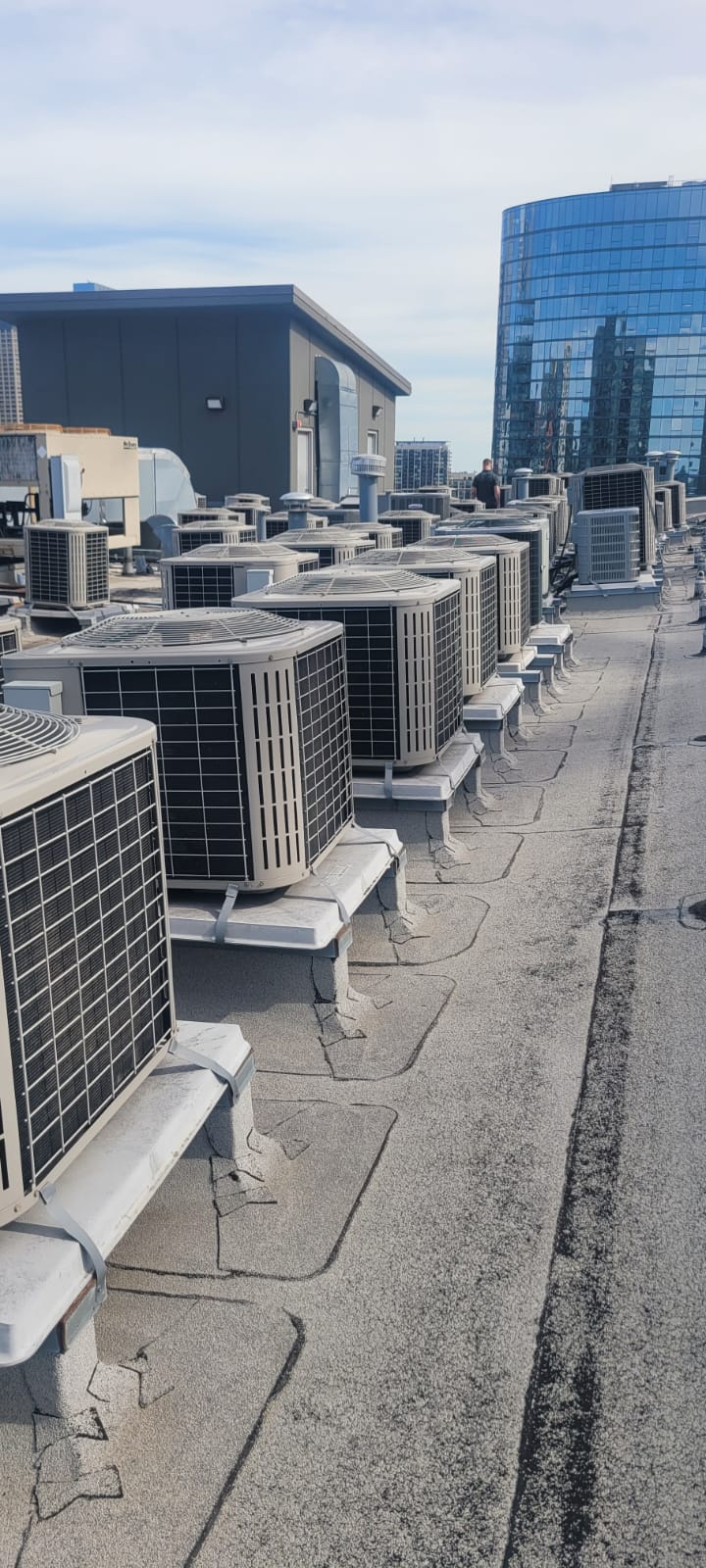 Imagen de WhatsApp 2024-11-19 a las 14.51.51_8eab9e45