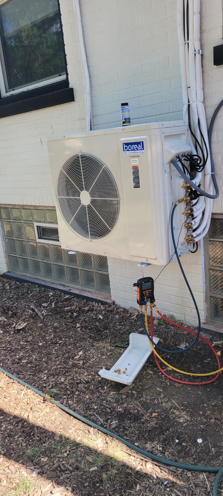 Imagen de WhatsApp 2024-11-19 a las 14.51.51_947bf328