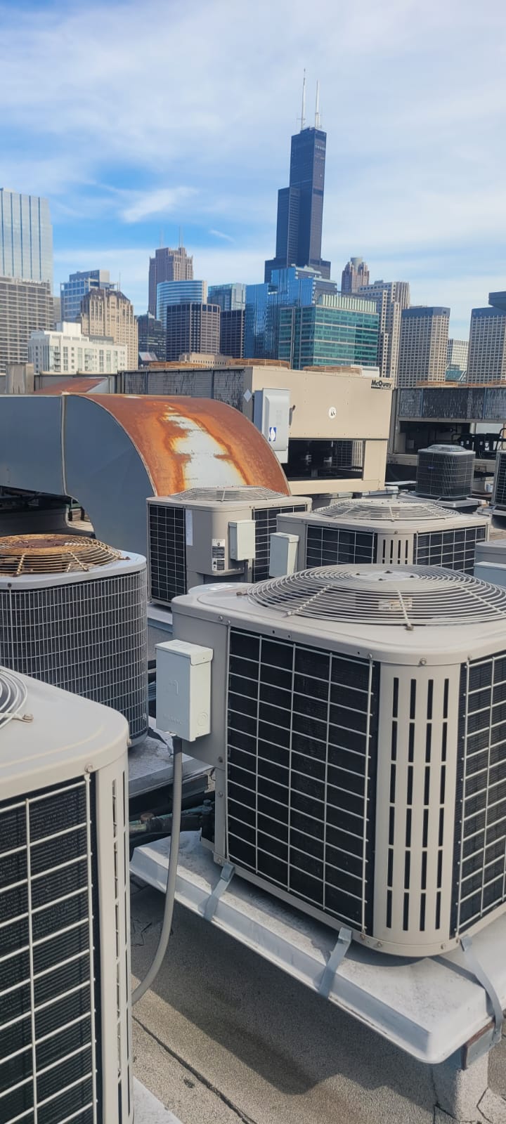 Imagen de WhatsApp 2024-11-19 a las 14.51.51_97a3c801