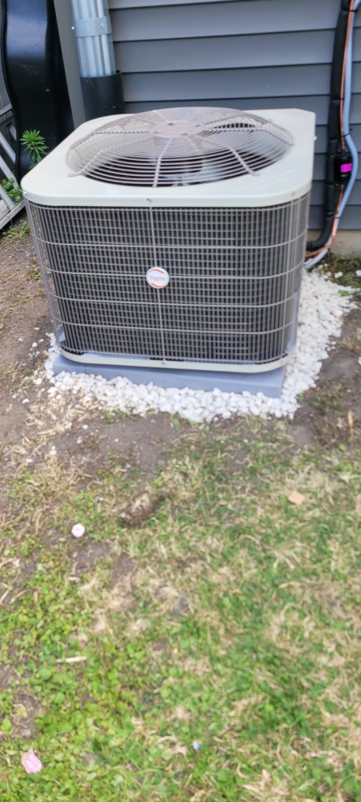 Imagen de WhatsApp 2024-11-19 a las 14.51.52_b5f79a51