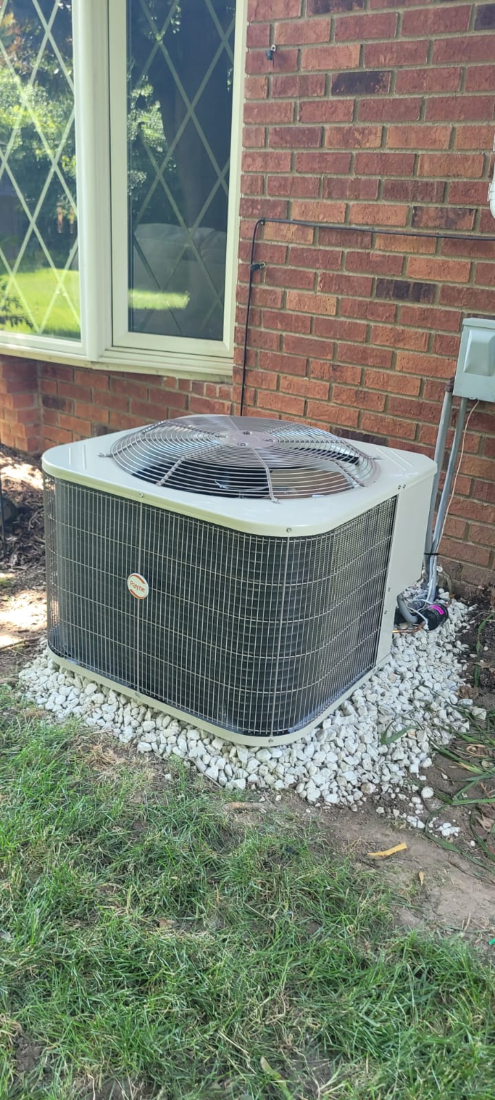 Imagen de WhatsApp 2024-11-19 a las 14.51.53_6e7747d4