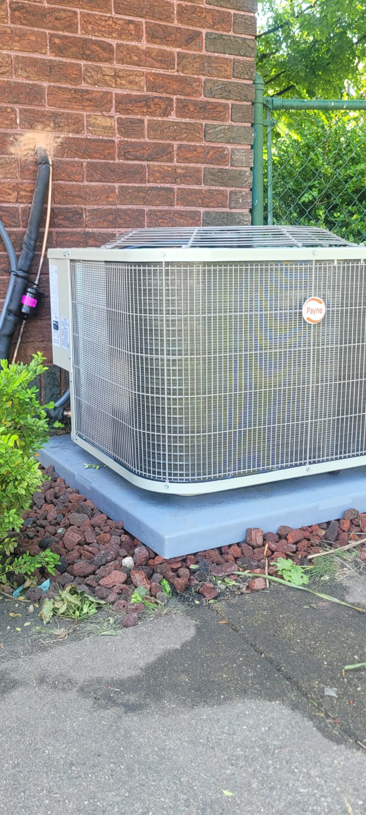 Imagen de WhatsApp 2024-11-19 a las 14.51.53_c16a1fc4