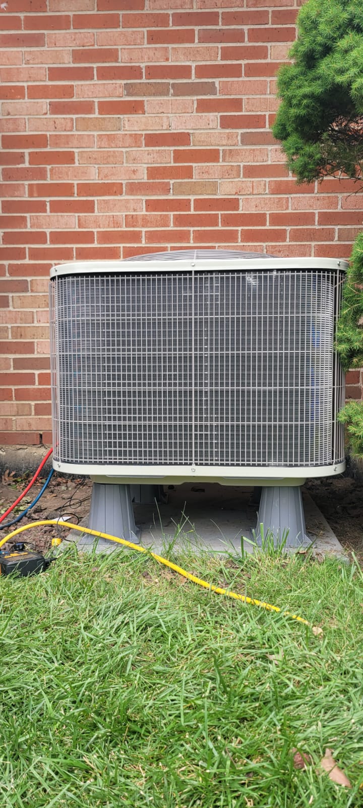 Imagen de WhatsApp 2024-11-19 a las 14.51.55_5c71daa0